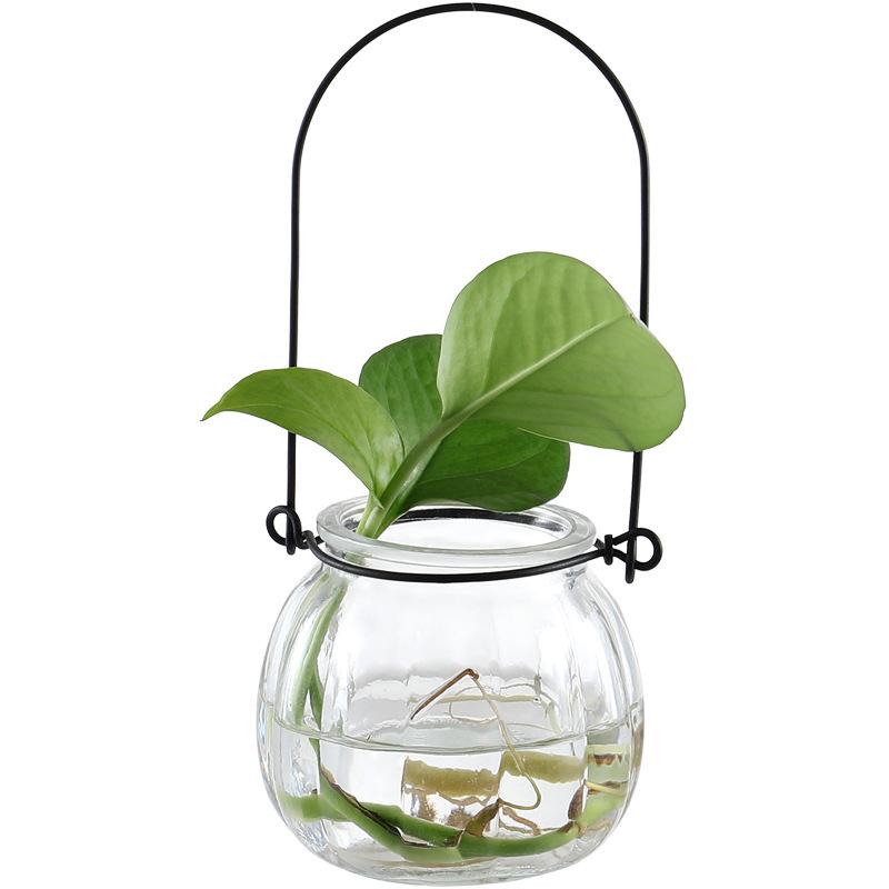 Lo Thuỷ Tinh GX-322