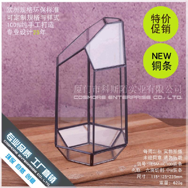 Chậu Đa Giác DG-224 Cắt bằng 6 mặt thanh đồng, phòng hoa kính B, hoa thịnh vượng, thảo mộc, cảnh quan nhỏ, trong suốt, sáng tạo, hộp cây đa thực vật bán sỉ