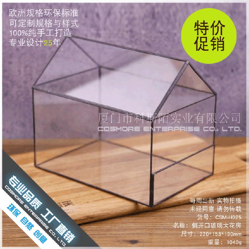 Chậu Đa Giác DG-89 Cửa sổ kính lớn có hoa, cây thực vật mọc tả, cảnh quan nhỏ của thịt mọc, hộp hoa bền vĩ đều