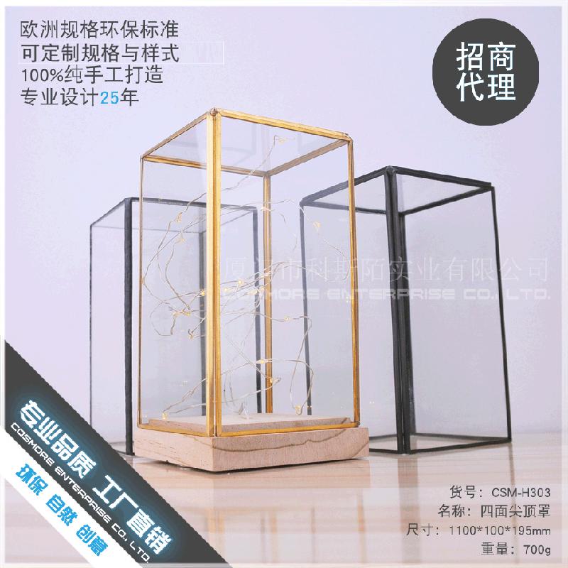 Chậu Đa Giác DG-71 Mẫu đồ trang trí đĩa cây hoa với đáy, vỏ đèn LED hoa thời gian thực kính