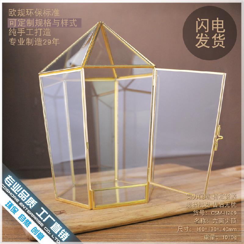 Chậu Đa Giác DG-134 Chứa hình học kính bảy mặt, nhà hoa kính năm mặt, hộp bạc đồng hồ vĩnh cửu