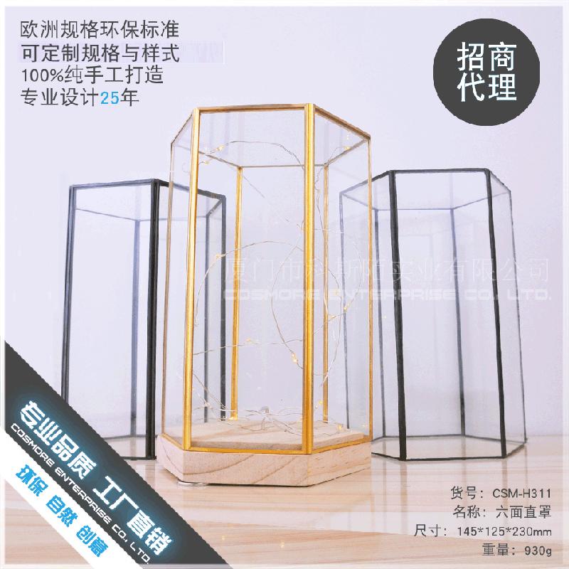 Chậu Đa Giác DG-156 Bộ đệm gỗ sáu mặt với ánh sáng LED, với vỏ kính thủy tinh mới sáng tạo