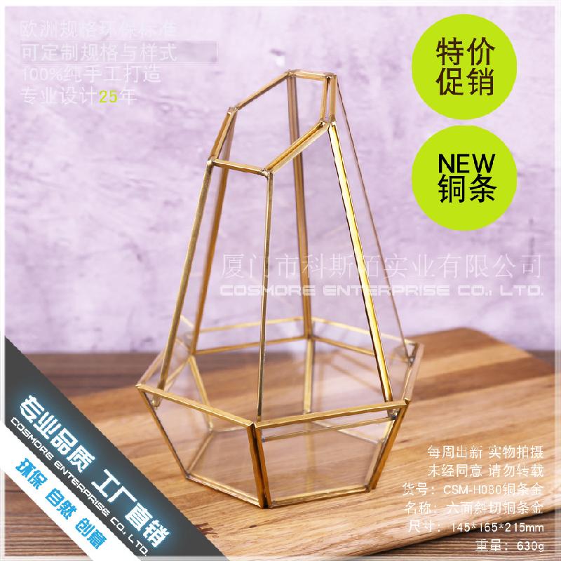 Chậu Đa Giác DG-186 Cắt ngang đồng bạc, kính vàng, hoa bền vĩnh cửu, thực vật nhỏ, chai phong cảnh, trong suốt, sáng tạo, đa thực vật, hộp hoa sỉ