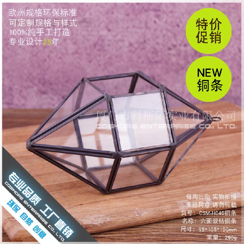 Chậu Đa Giác DG-240 Cặp đôi kim cương sáu mặt, cây thực vật nhiều thịt, cảnh quan nhỏ từ thảo mộc, không định hình, hộp hoa bền vững kính lớn