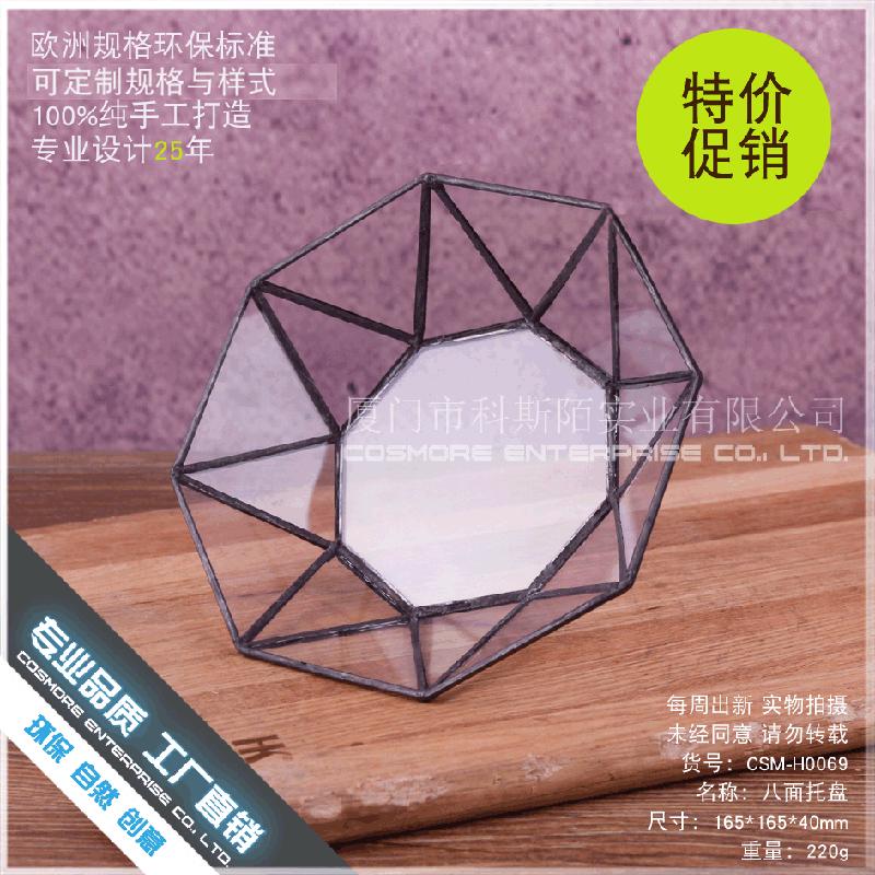 Chậu Đa Giác DG-230 Chậu hoa động vật nhiều thân, kính bát mặt, hoa thực vật bền đời, thảo mộc tím, cảnh quan nhỏ, thủy sinh trong chai