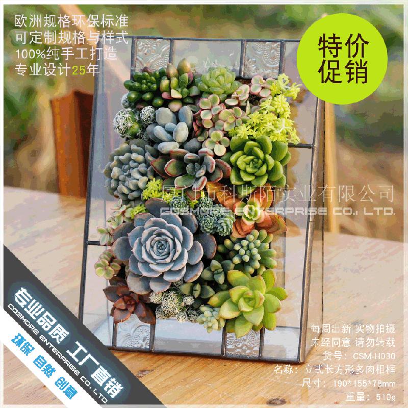 Chậu Đa Giác DG-27 Khung hình chữ nhật nhiều thực vật mầm non, thảo mộc, khung cảnh nhỏ bất quy tắc, kính bền đời, hoa nhỏ phân phối sỉ