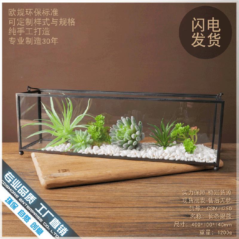 Chậu Đa Giác DG-105 Vật dụng nội thất phong cách Âu, bộ trang trí kính, chậu hoa cây thực vật đa rễ, chậu cây xanh, thùng thảm minh bạch, thiết kế cảnh quan nhỏ, trang trí trọn gói