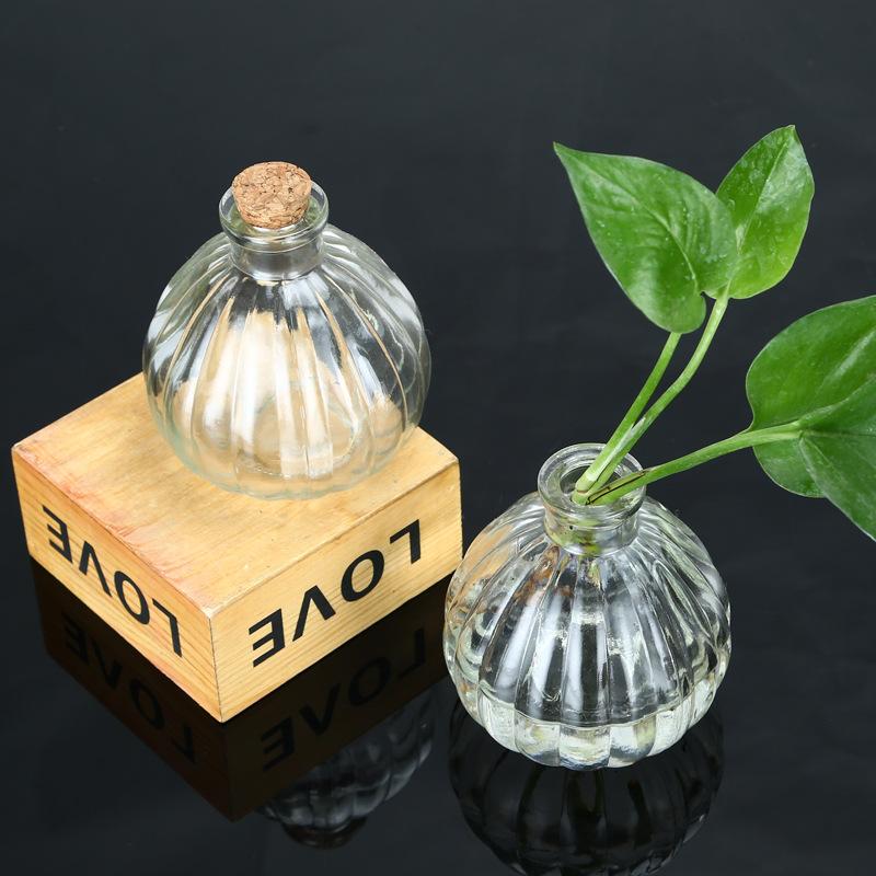 Lo Thuỷ Tinh GX-95