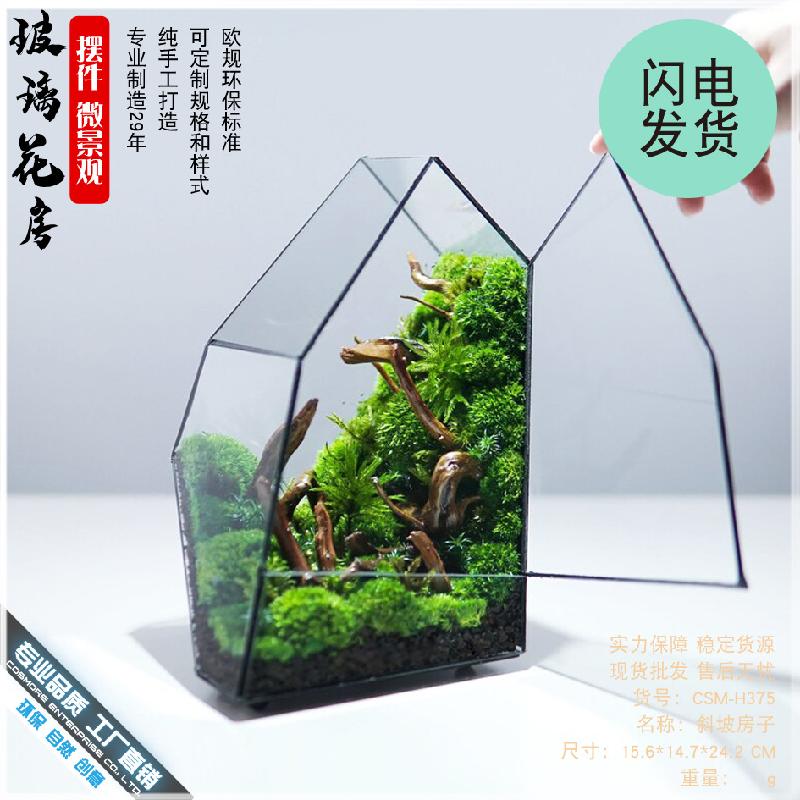 Chậu Đa Giác Bể rừng mưa Terrarium kính (DG-34)