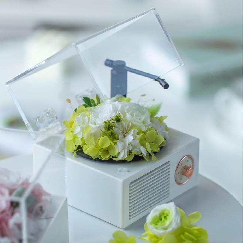 Hoa khô trang trí FY-56