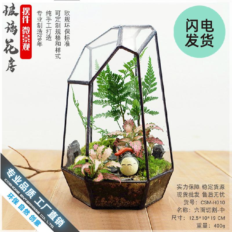Chậu Đa Giác Bể kính rêu cảnh 6 mặt (DG-31)