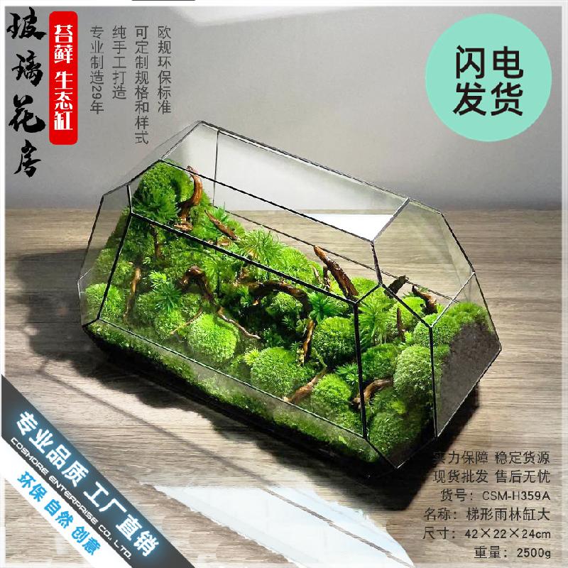 Chậu Đa Giác Bể kính thủy sinh Terrarium, bể rừng mưa mini (DG-56)