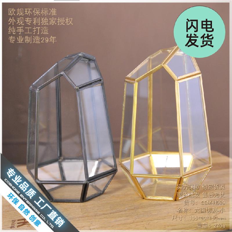 Chậu Đa Giác Nhà kính 6 mặt mini (DG-44)