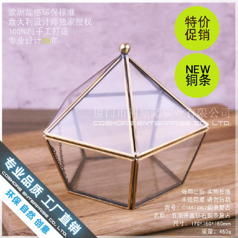 Chậu Đa Giác Nhà kính vàng đa giác, hộp hoa hồng bất tử (DG-157)