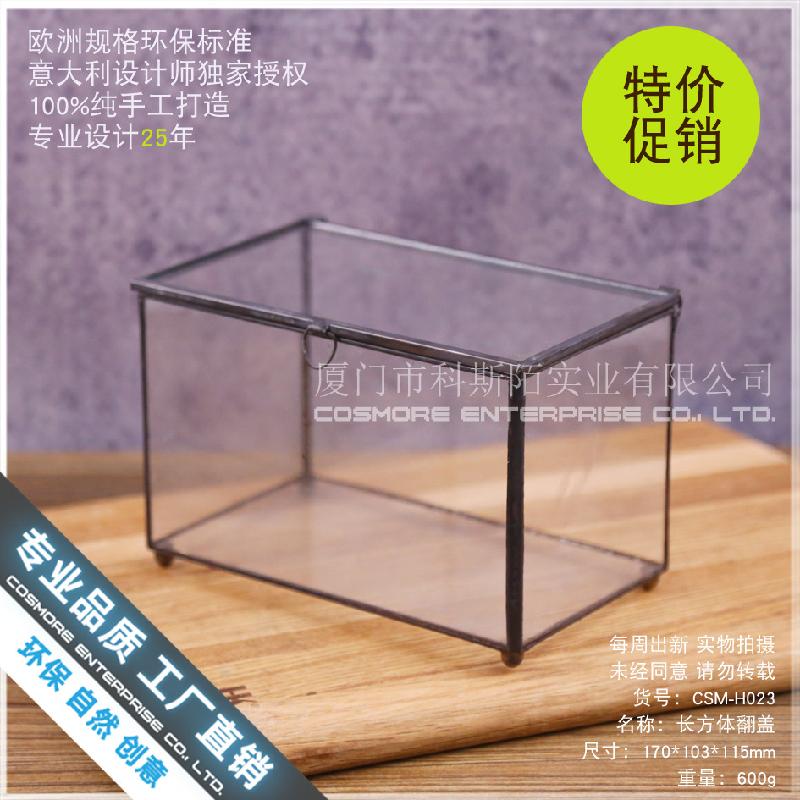 Chậu Đa Giác Hộp kính sinh thái cây mini (DG-29)