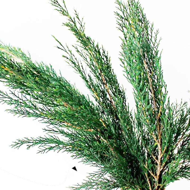 Hoa khô trang trí FY-63