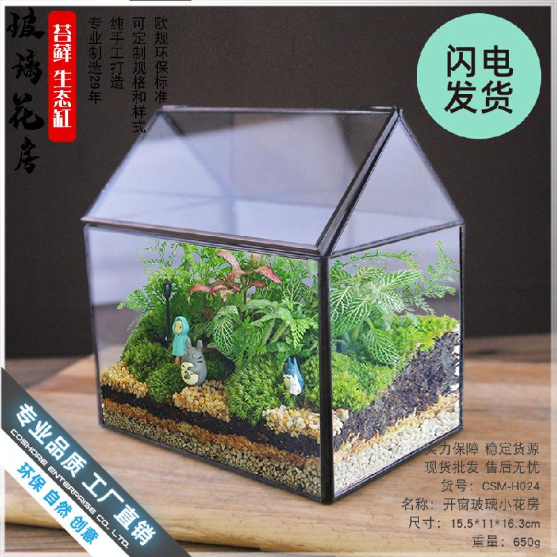 Chậu Đa Giác Bể kính tạo cảnh rừng mini (DG-9)