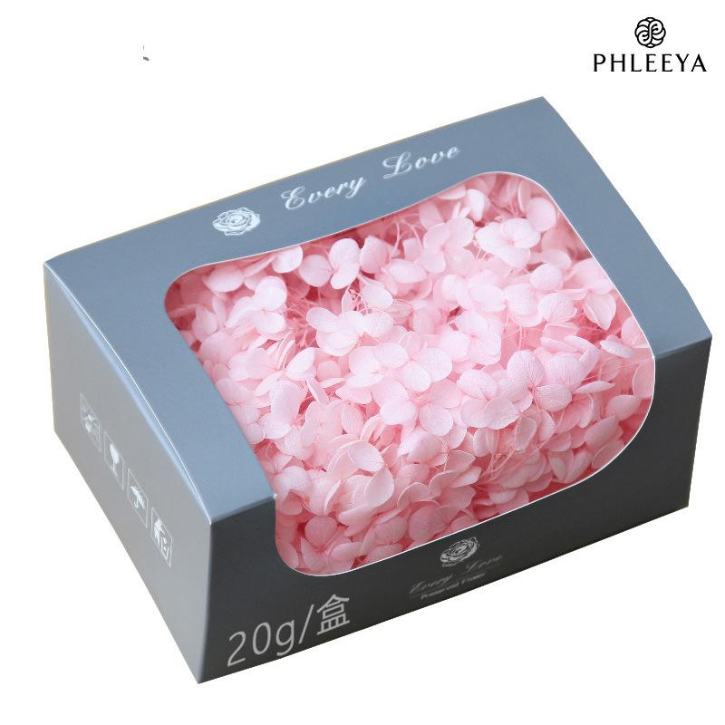 Hoa khô trang trí Cẩm tú cầu Anna vĩnh cửu 20g DIY hoa khô trang trí (HK-32)