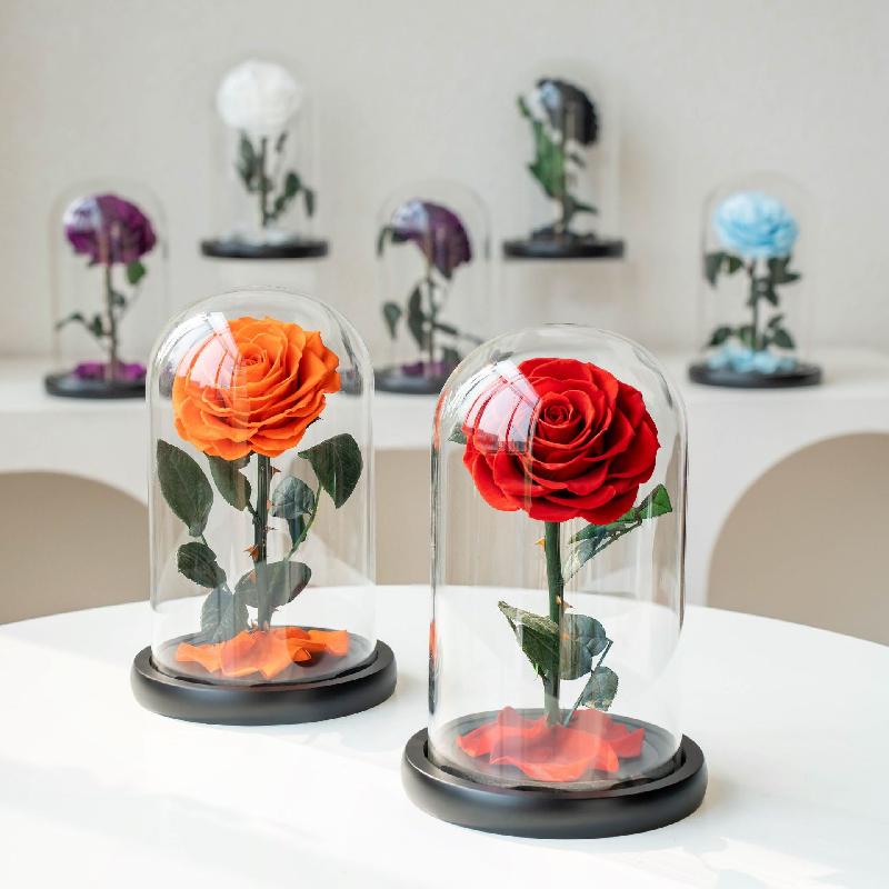Hoa khô trang trí Hoa hồng vĩnh cửu lồng kính Hoàng tử bé quà Valentine (HK-78)