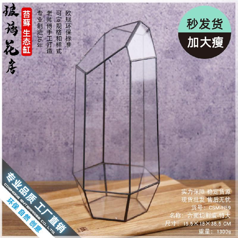 Chậu Đa Giác Nhà kính 6 mặt cắt lớn Terrarium (DG-230)