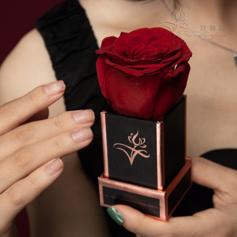 Hoa khô trang trí FY-143