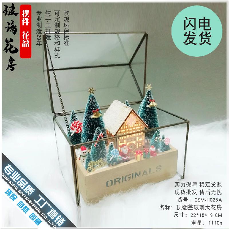 Chậu Đa Giác DG-16 Cửa hộp kính lớn có hoa, cây thực vật tảo, thảo mộc với cảnh quan nhỏ