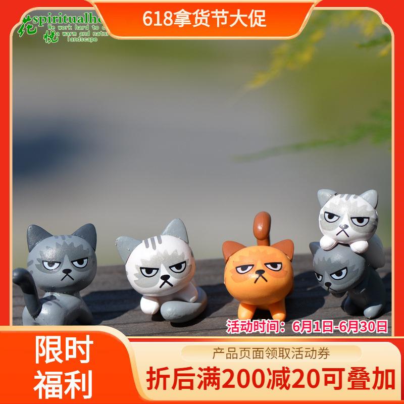 Phụ Kiện Tiểu Cảnh 苔藓微景观 多肉植物摆件 玩偶摆件 不爽猫 DIY材料创意小摆件