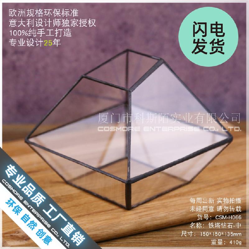 Chậu Đa Giác Chậu kính sen đá, tiểu cảnh rêu (DG-187)