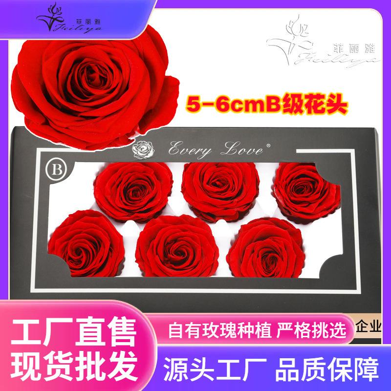 Hoa khô trang trí FY-26