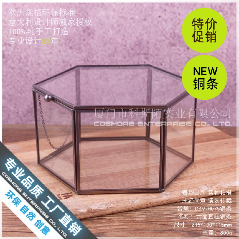 Chậu Đa Giác Nhà kính 6 mặt viền đồng, tiểu cảnh rêu (DG-185)