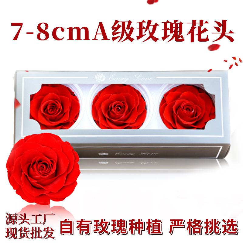 Hoa khô trang trí Hoa hồng vĩnh cửu hạng A DIY hộp quà Valentine (HK-145)