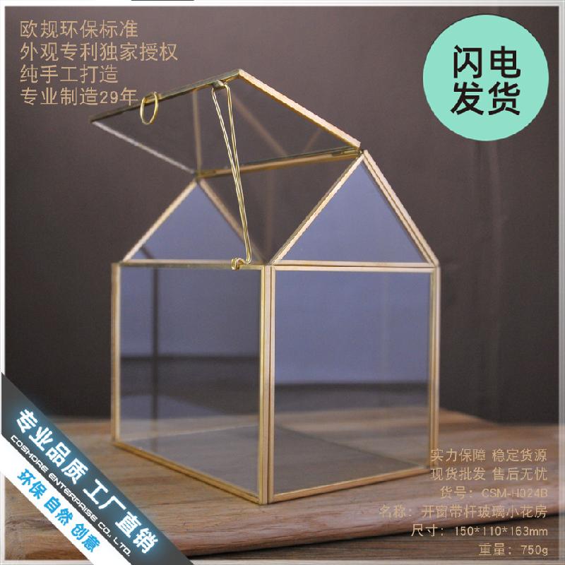 Chậu Đa Giác Nhà kính cửa sổ viền vàng, tiểu cảnh rêu (DG-69)