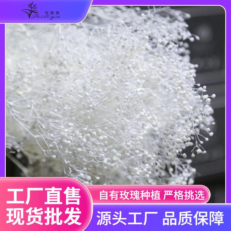 Hoa khô trang trí FY-19