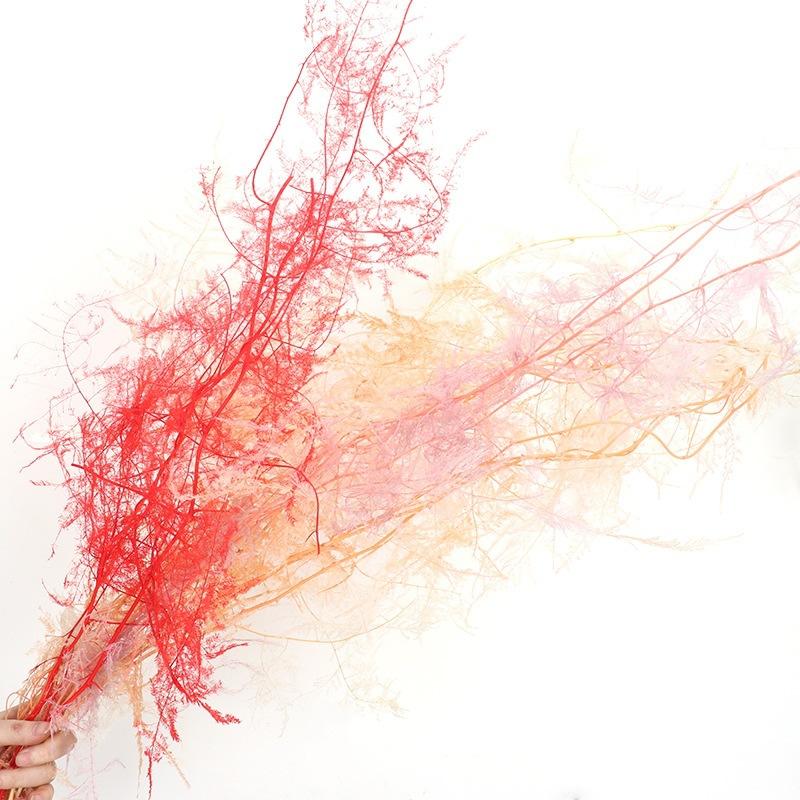 Hoa khô trang trí FY-36