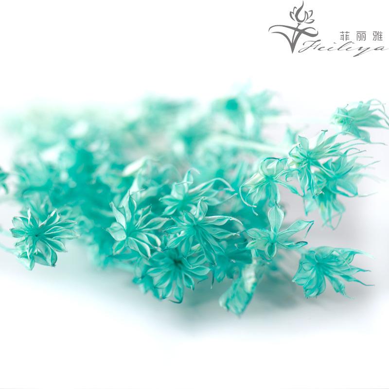 Hoa khô trang trí FY-168