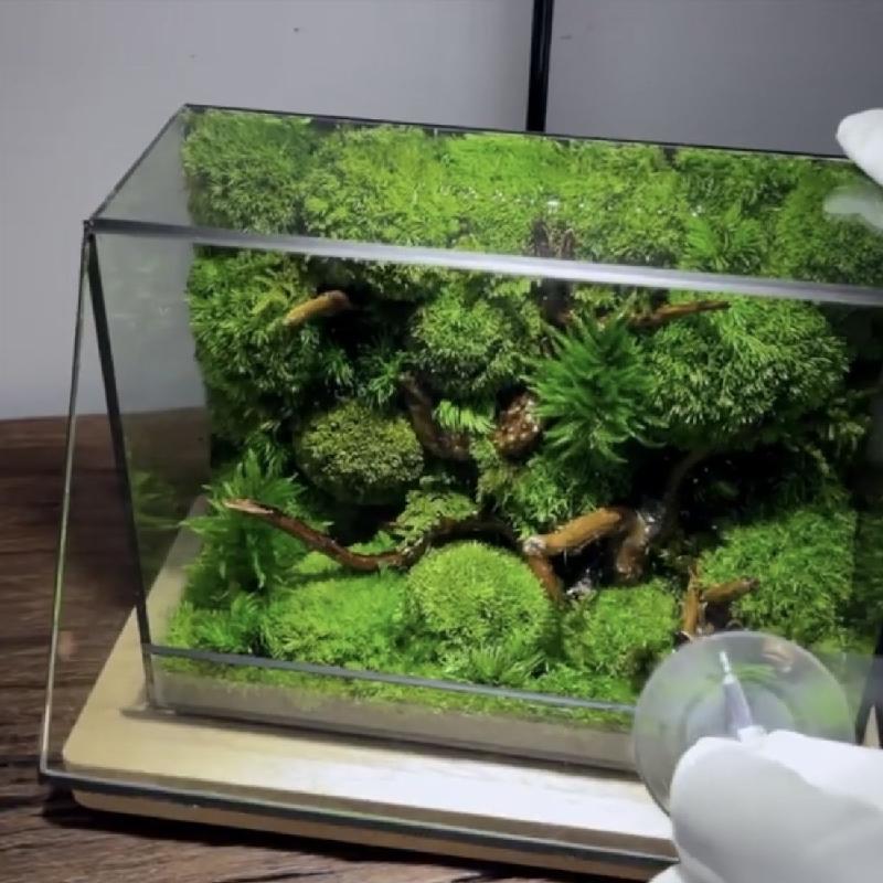 Chậu Đa Giác Bình kính Terrarium hình học đặt bàn (DG-83)