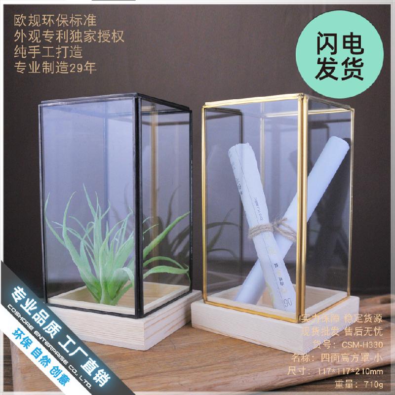 Chậu Đa Giác Chụp kính decor văn phòng, bàn làm việc (DG-133)