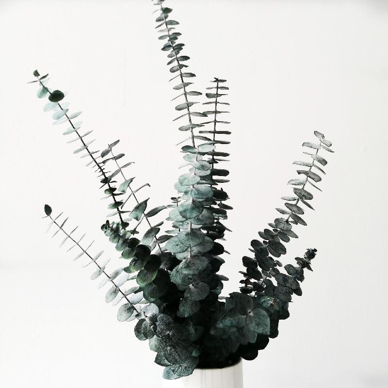 Hoa khô trang trí FY-88