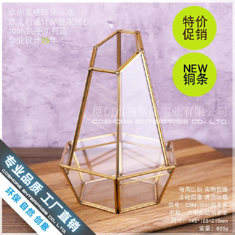 Chậu Đa Giác Nhà kính 6 mặt cắt, Terrarium rêu cảnh (DG-167)