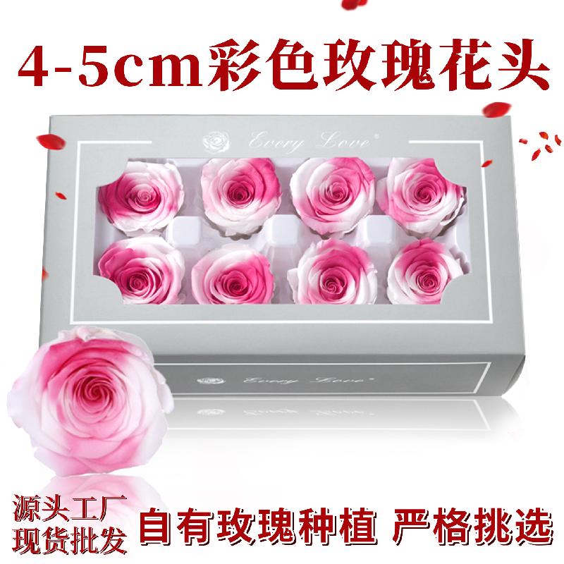 Hoa khô trang trí Hoa hồng vĩnh cửu 4–5cm hạng A 8 bông DIY chuyển màu (HK-64)