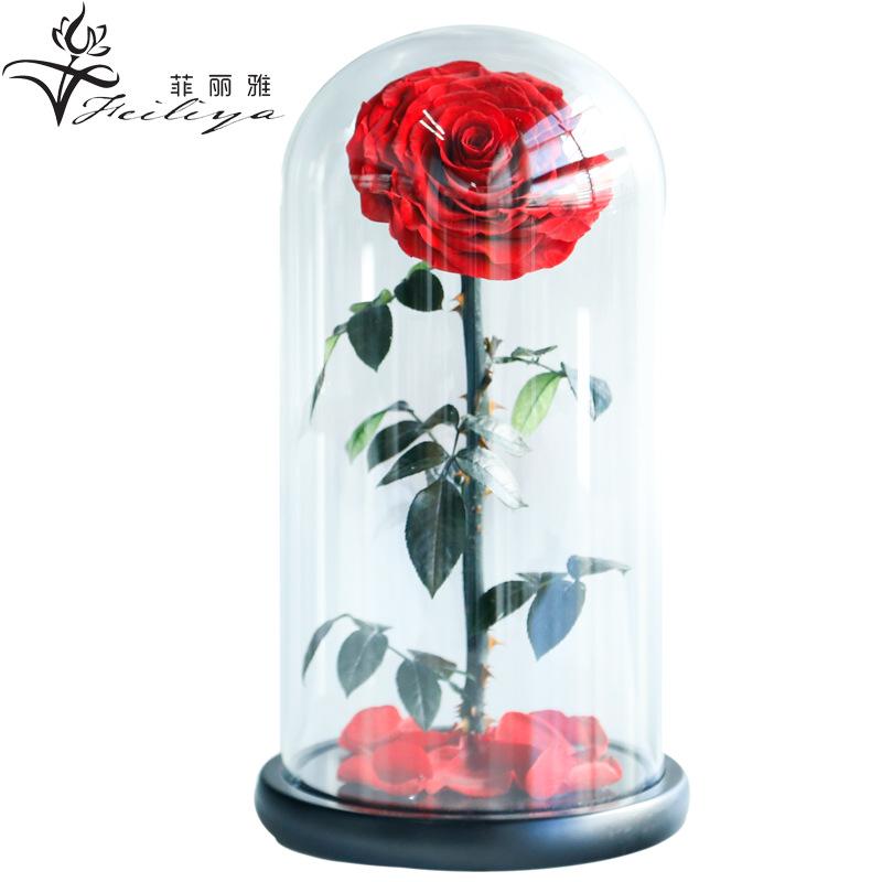 Hoa khô trang trí FY-124