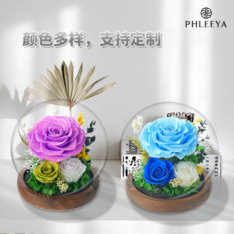 Hoa khô trang trí FY-2