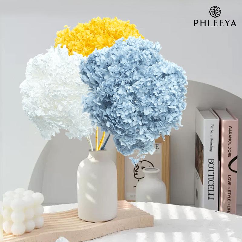 Hoa khô trang trí FY-64