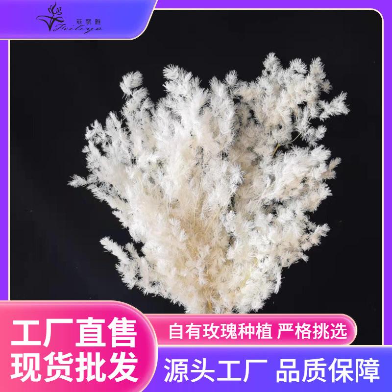 Hoa khô trang trí FY-52