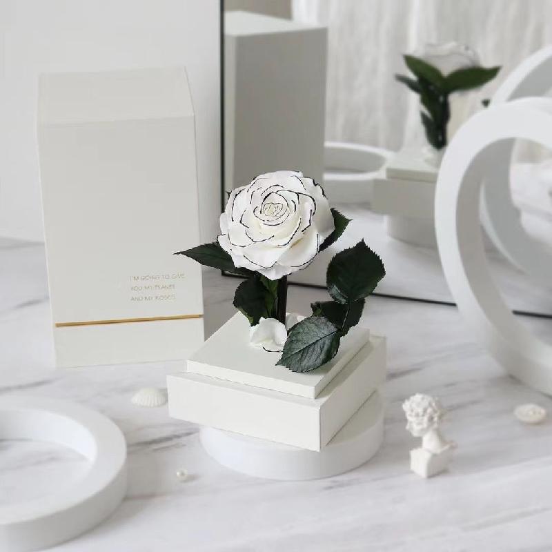 Hoa khô trang trí FY-86