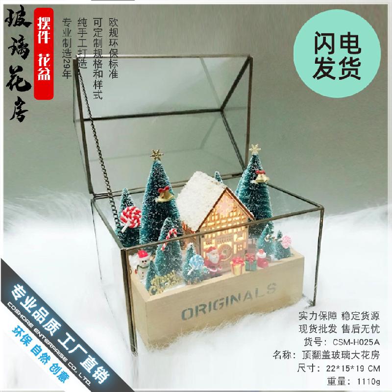 Chậu Đa Giác Nhà kính cây mọng nước mini (DG-16)
