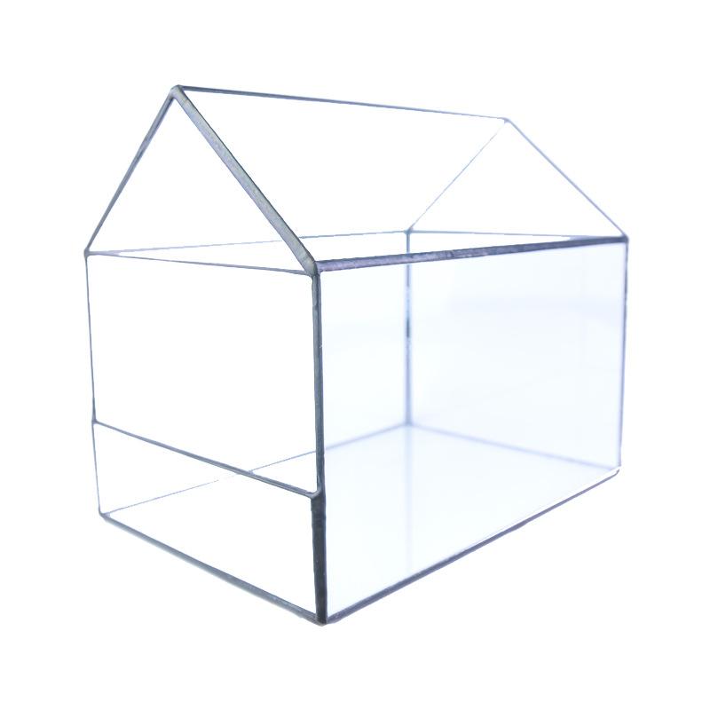 Chậu Đa Giác Nhà kính mở bên lớn Terrarium (DG-220)