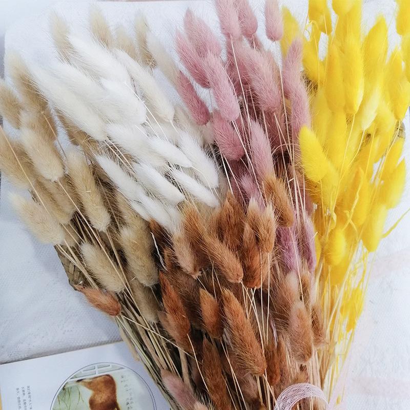 Hoa khô trang trí FY-18