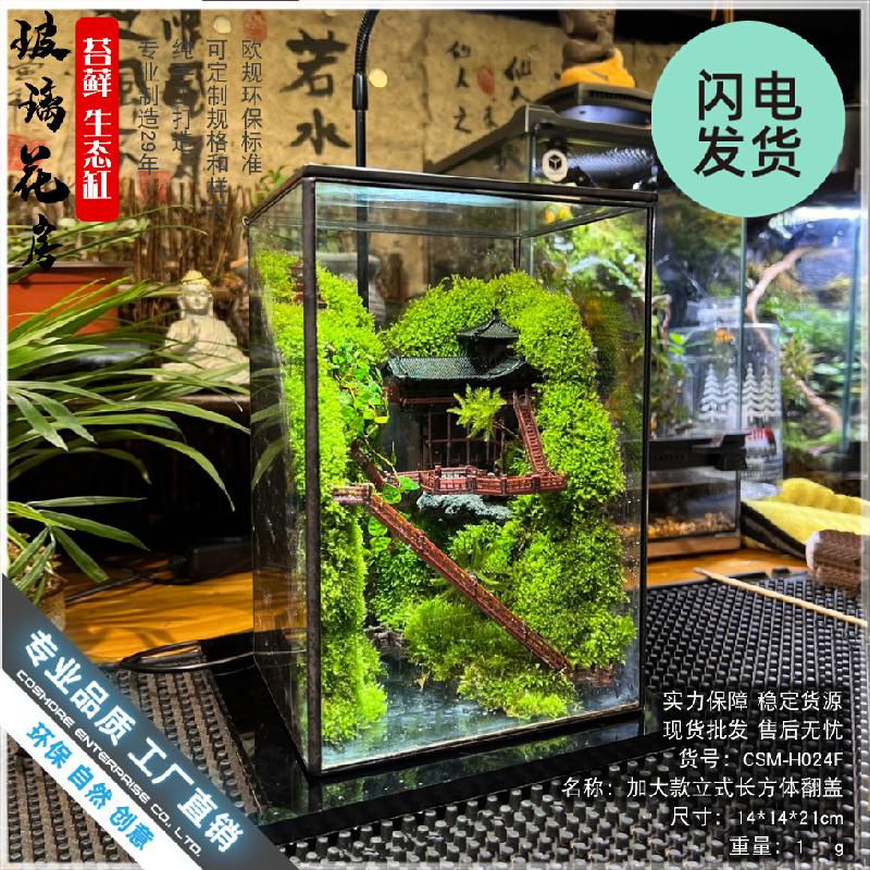 Chậu Đa Giác Bình Terrarium rêu cảnh DIY (DG-8)