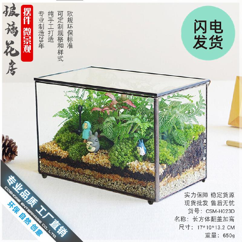 Chậu Đa Giác Nhà kính chữ nhật cao nắp lật, bể rêu cảnh (DG-58)